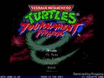 The remake of a fighting game starring the Teenage Mutant Hero Turtles.